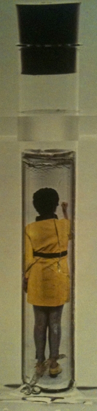 Poly Styrene in der Eprovette, von hinten